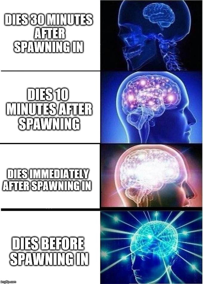Expanding brain  | DIES 30 MINUTES AFTER SPAWNING IN; DIES 10 MINUTES AFTER SPAWNING; DIES IMMEDIATELY AFTER SPAWNING IN; DIES BEFORE SPAWNING IN | image tagged in expanding brain | made w/ Imgflip meme maker