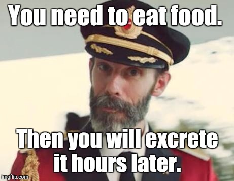 You need to eat food. Then you will excrete it hours later. | image tagged in captain obvious strikes again | made w/ Imgflip meme maker