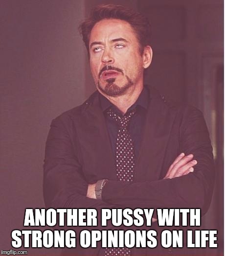 Face You Make Robert Downey Jr Meme | ANOTHER PUSSY WITH STRONG OPINIONS ON LIFE | image tagged in memes,face you make robert downey jr | made w/ Imgflip meme maker