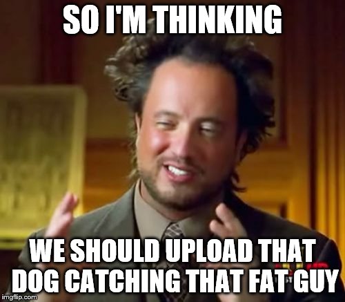 Ancient Aliens Meme | SO I'M THINKING; WE SHOULD UPLOAD THAT DOG CATCHING THAT FAT GUY | image tagged in memes,ancient aliens | made w/ Imgflip meme maker