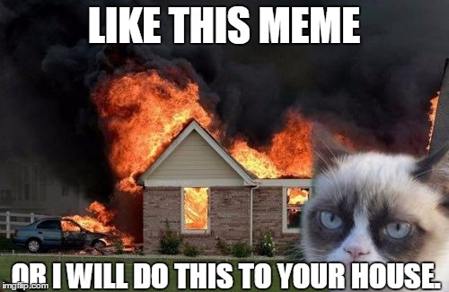 Burn Kitty | LIKE THIS MEME; OR I WILL DO THIS TO YOUR HOUSE. | image tagged in memes,burn kitty,grumpy cat | made w/ Imgflip meme maker