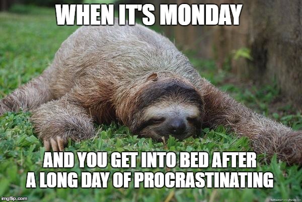 Sloth Monday | WHEN IT'S MONDAY; AND YOU GET INTO BED AFTER A LONG DAY OF PROCRASTINATING | image tagged in sloth monday,bed,monday | made w/ Imgflip meme maker