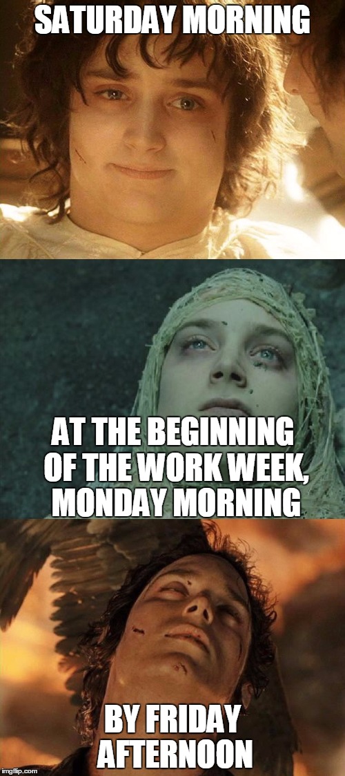 SATURDAY MORNING; AT THE BEGINNING OF THE WORK WEEK, MONDAY MORNING; BY FRIDAY AFTERNOON | image tagged in week progression | made w/ Imgflip meme maker