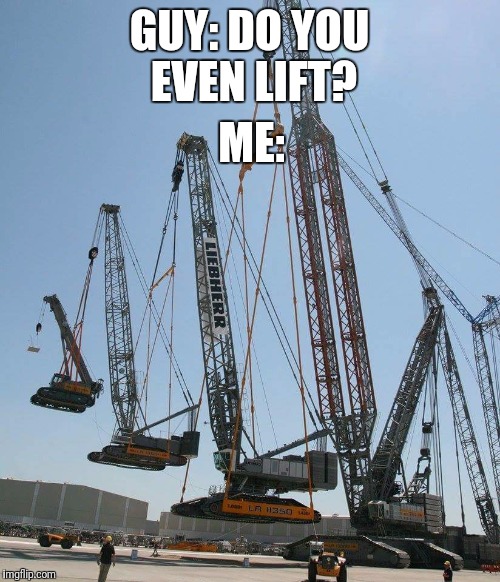 Oh I lift brew.. | GUY: DO YOU EVEN LIFT? ME: | image tagged in do you even lift,lift,me,cranes,engineering | made w/ Imgflip meme maker
