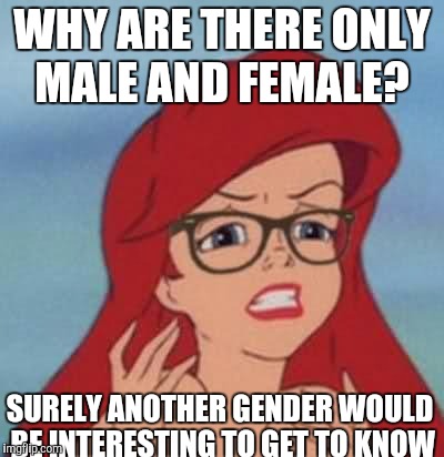 Hipster Ariel Meme | WHY ARE THERE ONLY MALE AND FEMALE? SURELY ANOTHER GENDER WOULD BE INTERESTING TO GET TO KNOW | image tagged in memes,hipster ariel | made w/ Imgflip meme maker