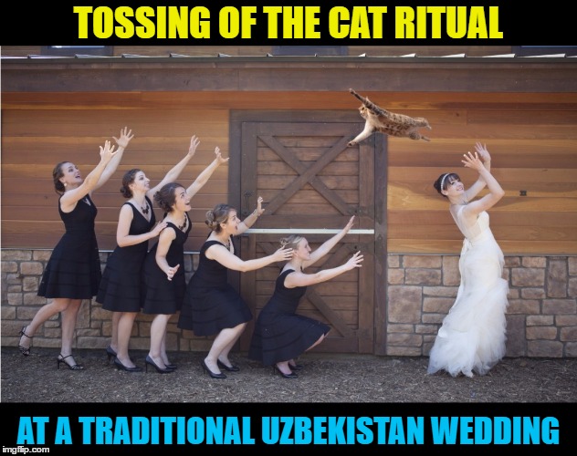 Tossing of the Cat Ceremony | TOSSING OF THE CAT RITUAL; AT A TRADITIONAL UZBEKISTAN WEDDING | image tagged in funny meme,wmp,wedding,traditions,strange | made w/ Imgflip meme maker
