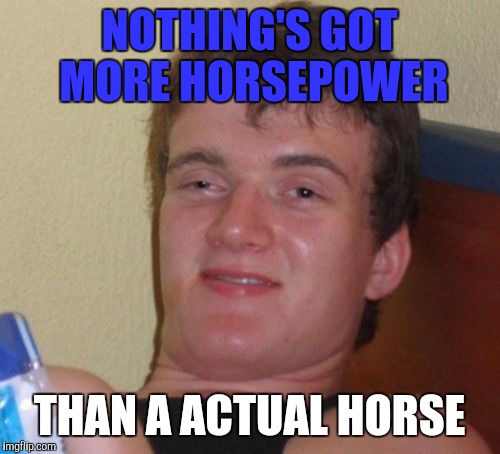 10 Guy | NOTHING'S GOT MORE HORSEPOWER; THAN A ACTUAL HORSE | image tagged in memes,10 guy | made w/ Imgflip meme maker