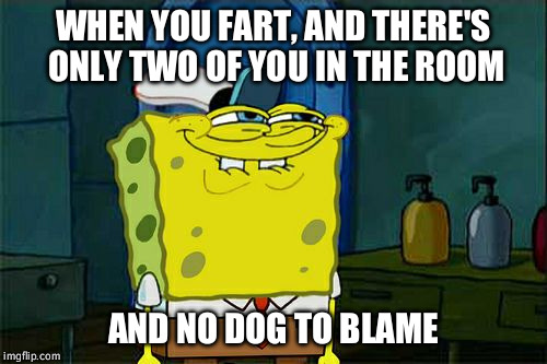 It wasn't me, I swear! | WHEN YOU FART, AND THERE'S ONLY TWO OF YOU IN THE ROOM; AND NO DOG TO BLAME | image tagged in memes,dont you squidward | made w/ Imgflip meme maker