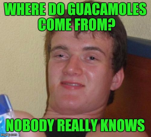 10 Guy Meme | WHERE DO GUACAMOLES COME FROM? NOBODY REALLY KNOWS | image tagged in memes,10 guy | made w/ Imgflip meme maker