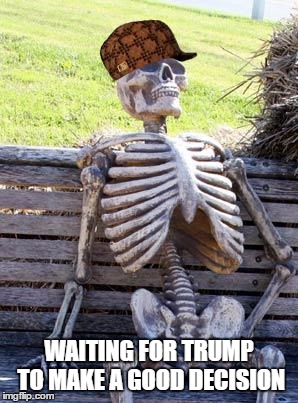 Waiting Skeleton Meme | WAITING FOR TRUMP TO MAKE A GOOD DECISION | image tagged in memes,waiting skeleton,scumbag | made w/ Imgflip meme maker
