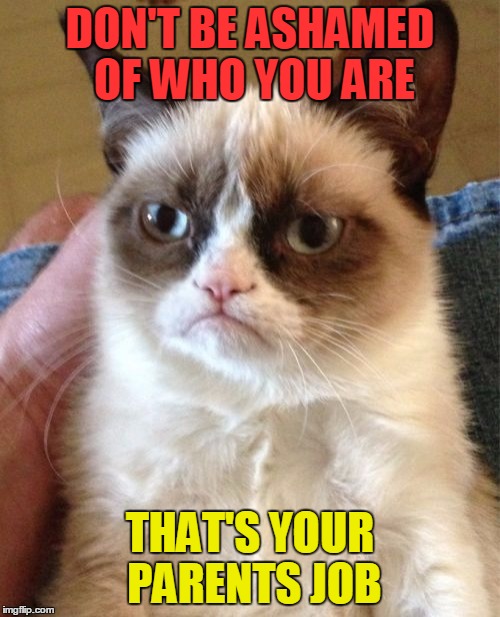 Why do people with closed minds always open their mouths? | DON'T BE ASHAMED OF WHO YOU ARE; THAT'S YOUR PARENTS JOB | image tagged in memes,grumpy cat,funny,dudefromeurope | made w/ Imgflip meme maker