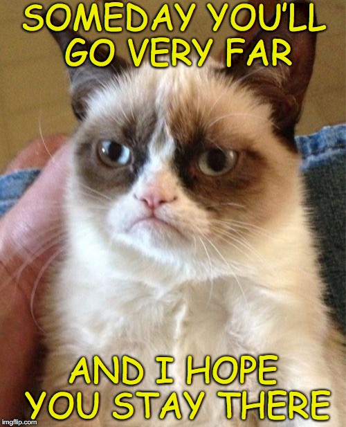 Grumpy’s Wish | SOMEDAY YOU’LL GO VERY FAR; AND I HOPE YOU STAY THERE | image tagged in memes,grumpy cat | made w/ Imgflip meme maker