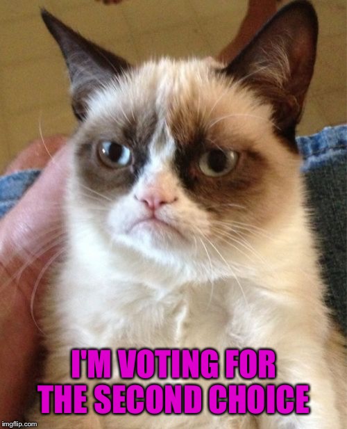 Grumpy Cat Meme | I'M VOTING FOR THE SECOND CHOICE | image tagged in memes,grumpy cat | made w/ Imgflip meme maker