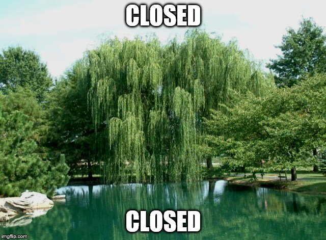 CLOSED; CLOSED | image tagged in closed | made w/ Imgflip meme maker