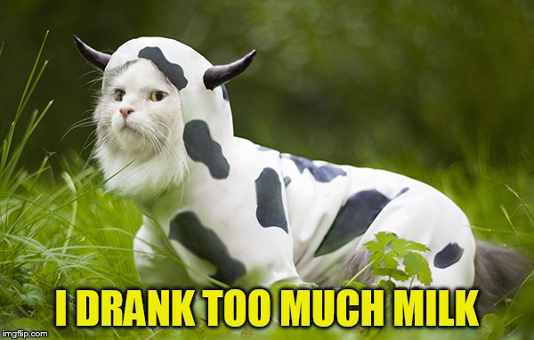 I DRANK TOO MUCH MILK | made w/ Imgflip meme maker