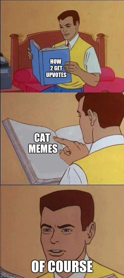 Book of Idiots | HOW 2 GET UPVOTES; CAT MEMES; OF COURSE | image tagged in book of idiots | made w/ Imgflip meme maker