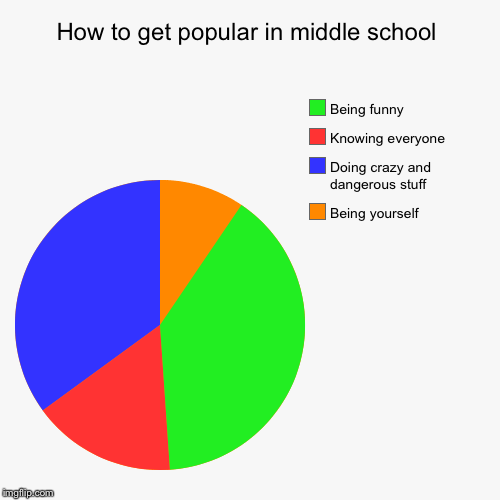 How to get popular in middle school | Being yourself, Doing crazy and dangerous stuff , Knowing everyone, Being funny | image tagged in funny,pie charts | made w/ Imgflip chart maker