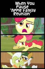 Just why? | image tagged in memes,my little pony,why,nsfw | made w/ Imgflip meme maker