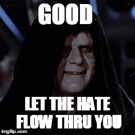 GOOD; LET THE HATE FLOW THRU YOU | image tagged in emperor palpatine | made w/ Imgflip meme maker