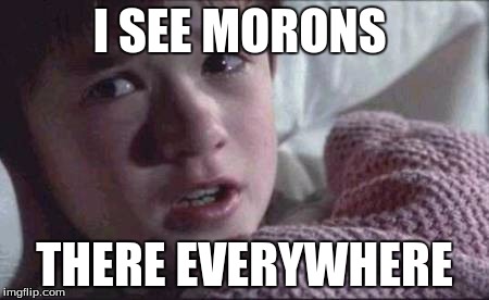 I See Dead People | I SEE MORONS; THERE EVERYWHERE | image tagged in memes,i see dead people | made w/ Imgflip meme maker