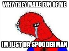 Spooderman | WHY THEY MAKE FUN OF ME; IM JUST DA SPOODERMAN | image tagged in spooderman | made w/ Imgflip meme maker