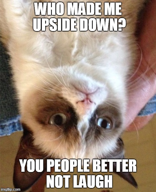 Grumpy Cat | WHO MADE ME UPSIDE DOWN? YOU PEOPLE BETTER NOT LAUGH | image tagged in memes,grumpy cat | made w/ Imgflip meme maker