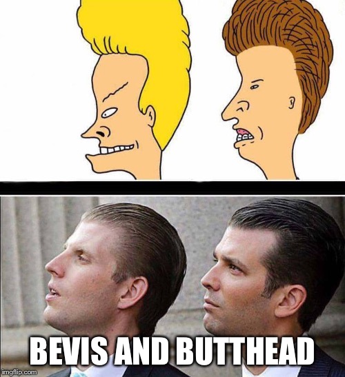  Bevis and Butthead are real. | BEVIS AND BUTTHEAD | image tagged in bevis,butthead,eric trump,donald trump jr | made w/ Imgflip meme maker