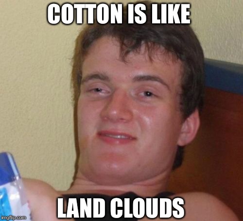 10 Guy Meme | COTTON IS LIKE; LAND CLOUDS | image tagged in memes,10 guy | made w/ Imgflip meme maker