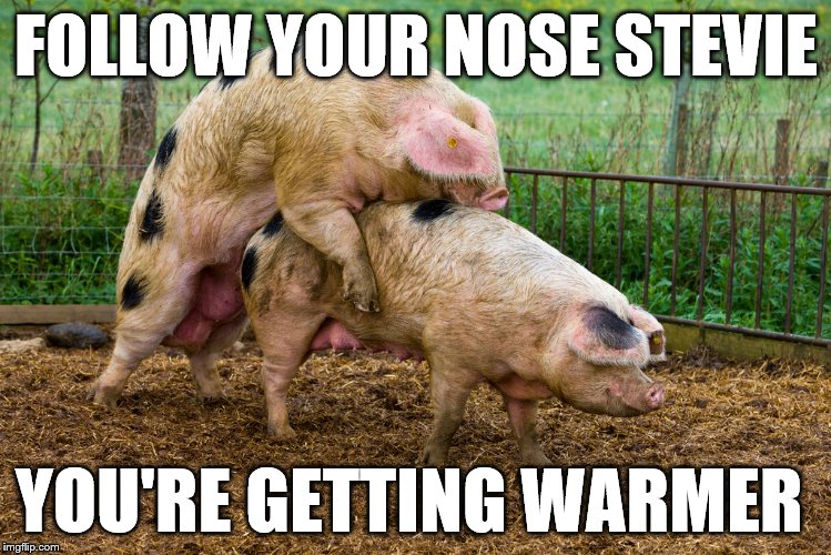 Making Bacon | FOLLOW YOUR NOSE STEVIE YOU'RE GETTING WARMER | image tagged in making bacon | made w/ Imgflip meme maker