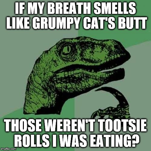 Philosoraptor Meme | IF MY BREATH SMELLS LIKE GRUMPY CAT'S BUTT THOSE WEREN'T TOOTSIE ROLLS I WAS EATING? | image tagged in memes,philosoraptor | made w/ Imgflip meme maker
