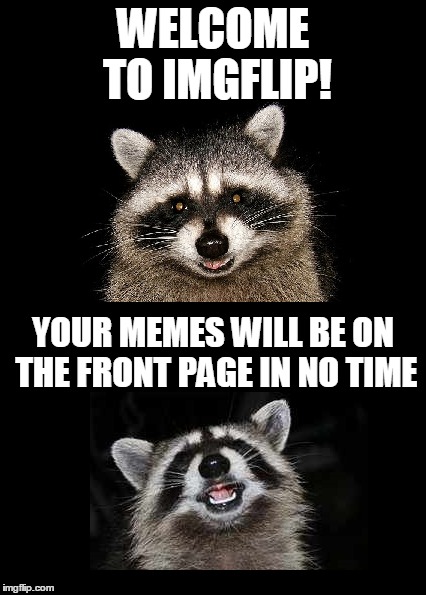 New Here? | WELCOME TO IMGFLIP! YOUR MEMES WILL BE ON THE FRONT PAGE IN NO TIME | image tagged in welcome to imgflip,imgflip,raccoon | made w/ Imgflip meme maker