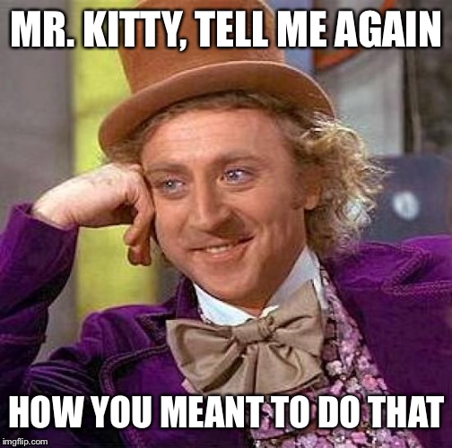 Creepy Condescending Wonka Meme | MR. KITTY, TELL ME AGAIN HOW YOU MEANT TO DO THAT | image tagged in memes,creepy condescending wonka | made w/ Imgflip meme maker