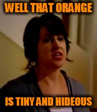 WELL THAT ORANGE IS TINY AND HIDEOUS | made w/ Imgflip meme maker