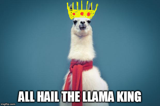 Smart Llama | ALL HAIL THE LLAMA KING | image tagged in smart llama | made w/ Imgflip meme maker