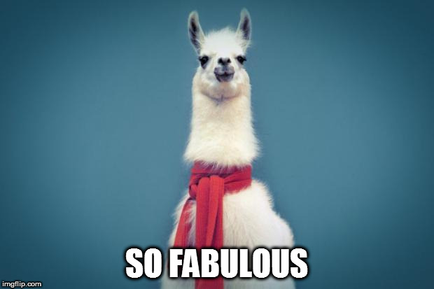 Smart Llama | SO FABULOUS | image tagged in smart llama | made w/ Imgflip meme maker