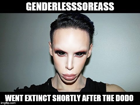 Genderless ALIEN | GENDERLESSSOREASS WENT EXTINCT SHORTLY AFTER THE DODO | image tagged in genderless alien | made w/ Imgflip meme maker