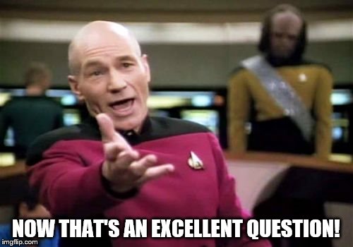 Picard Wtf Meme | NOW THAT'S AN EXCELLENT QUESTION! | image tagged in memes,picard wtf | made w/ Imgflip meme maker