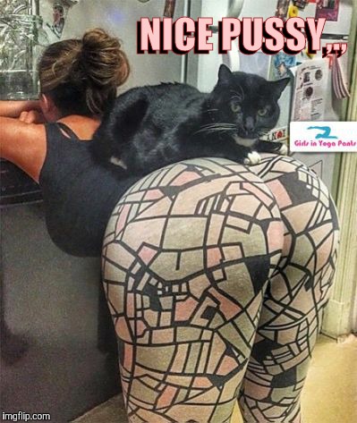 Best view in the house,,, | NICE PUSSY,., NICE PUSSY,., | image tagged in yoga pants week,yoga pants week a tetsuoswrath/lynch1979 event march,yoga pants,boom boom booty,boom boom kitty,pussy | made w/ Imgflip meme maker