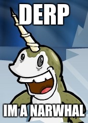 narwhales | DERP; IM A NARWHAL | image tagged in narwhales | made w/ Imgflip meme maker