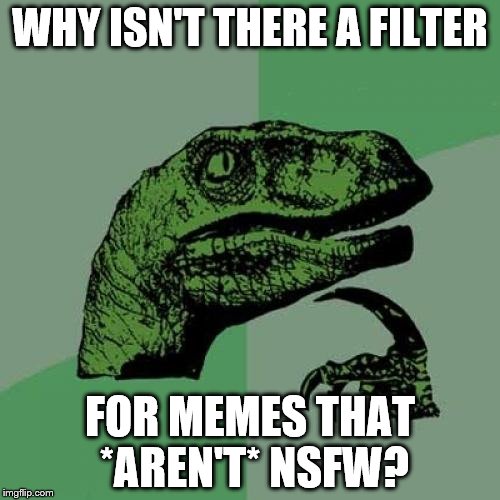 Just might make things a little easier is all... | WHY ISN'T THERE A FILTER; FOR MEMES THAT *AREN'T* NSFW? | image tagged in memes,philosoraptor | made w/ Imgflip meme maker