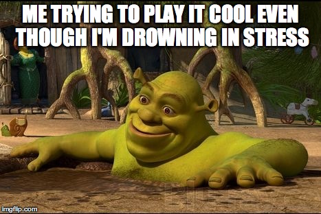 shrek | ME TRYING TO PLAY IT COOL EVEN THOUGH I'M DROWNING IN STRESS | image tagged in shrek | made w/ Imgflip meme maker