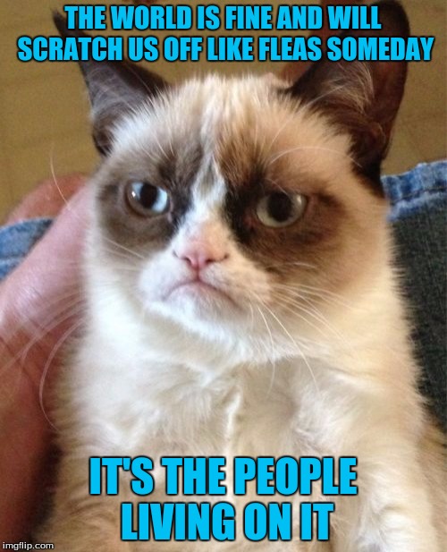 Grumpy Cat Meme | THE WORLD IS FINE AND WILL SCRATCH US OFF LIKE FLEAS SOMEDAY IT'S THE PEOPLE LIVING ON IT | image tagged in memes,grumpy cat | made w/ Imgflip meme maker