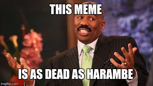 Steve Harvey Meme | THIS MEME; IS AS DEAD AS HARAMBE | image tagged in memes,steve harvey | made w/ Imgflip meme maker