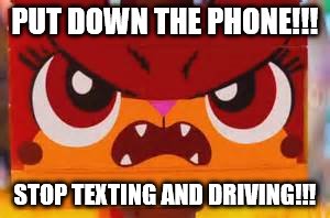 Angry Kitty | PUT DOWN THE PHONE!!! STOP TEXTING AND DRIVING!!! | image tagged in angry kitty | made w/ Imgflip meme maker