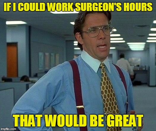 That Would Be Great Meme | IF I COULD WORK SURGEON'S HOURS THAT WOULD BE GREAT | image tagged in memes,that would be great | made w/ Imgflip meme maker