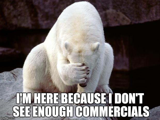Polar Bear | I'M HERE BECAUSE I DON'T SEE ENOUGH COMMERCIALS | image tagged in polar bear | made w/ Imgflip meme maker