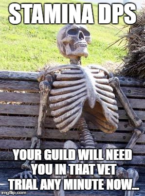 Waiting Skeleton Meme | STAMINA DPS; YOUR GUILD WILL NEED YOU IN THAT VET TRIAL ANY MINUTE NOW... | image tagged in memes,waiting skeleton | made w/ Imgflip meme maker