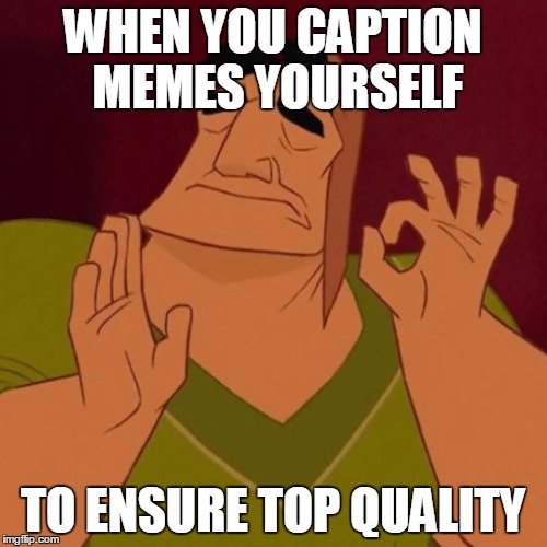 Pacha Wants Top Quality Memes | WHEN YOU CAPTION MEMES YOURSELF; TO ENSURE TOP QUALITY | image tagged in pacha perfect | made w/ Imgflip meme maker