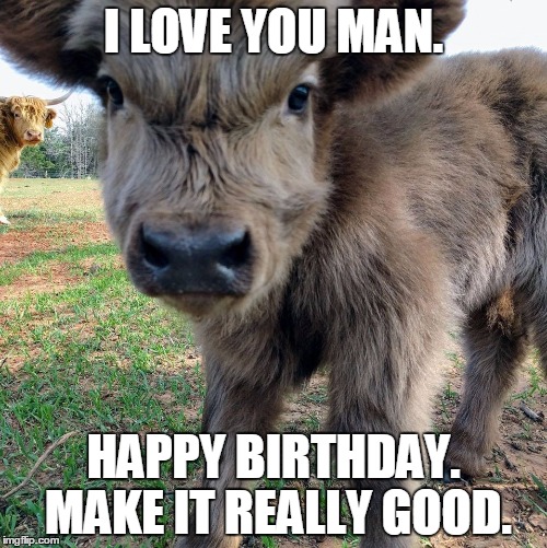 I LOVE YOU MAN. HAPPY BIRTHDAY. MAKE IT REALLY GOOD. | image tagged in happy birthday,cow,aww | made w/ Imgflip meme maker
