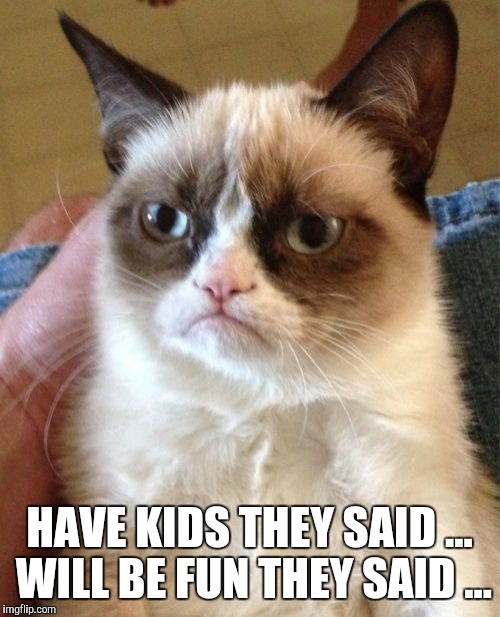 Grumpy Cat Meme | HAVE KIDS THEY SAID ... WILL BE FUN THEY SAID ... | image tagged in memes,grumpy cat | made w/ Imgflip meme maker